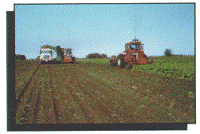 Tractor and Truck